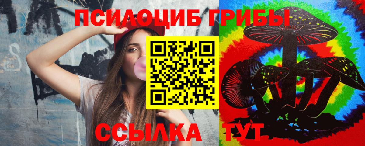 Галлюциногенные грибы Cubensis Кемерово