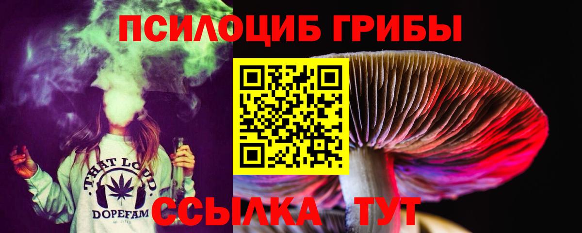 Кемерово  Галлюциногенные грибы мухоморы  Вход с VPN 